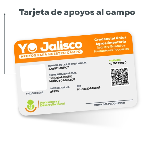 Yo Jalisco